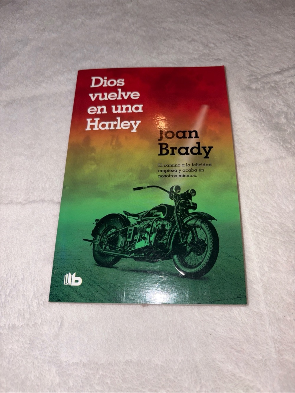 Dios vuelve en una Harley by Joan Brady, Spanish Edition